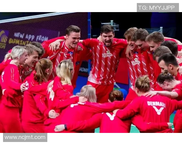 深圳羽毛球队在欧锦赛中的灵活性表现分析与启示