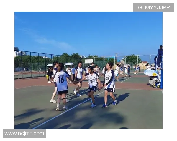 广州排球队以54分领跑杯赛积分榜展现强劲实力