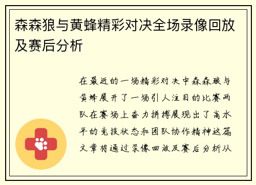 森森狼与黄蜂精彩对决全场录像回放及赛后分析